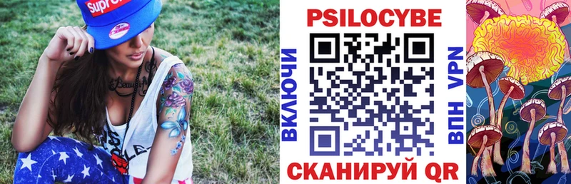 Псилоцибиновые грибы Cubensis  Щигры 